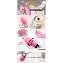 Sex Toys erotische Produkte Wireless Vibro Ei